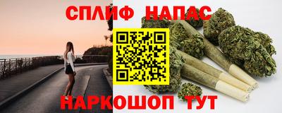 хмурый Моздок