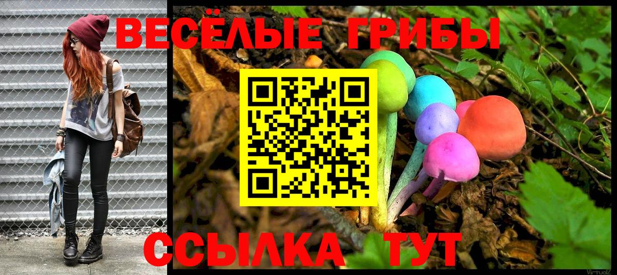 где продают   Галлюциногенные грибы Magic Shrooms  Вход с VPN  Славянск-на-Кубани 